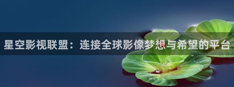 麻豆影视三级：星空影视联盟：连接全球影像梦想与希望的平台