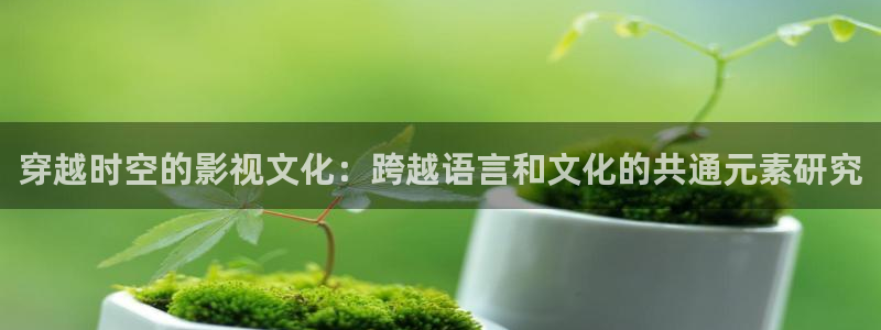 久草中文在线麻豆：穿越时空的影视文化：跨越语言和文化的共通元素研究
