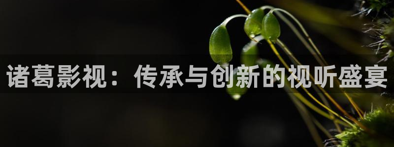麻豆一级片高清免费在线观看：诸葛影视：传承与创新的视听盛宴
