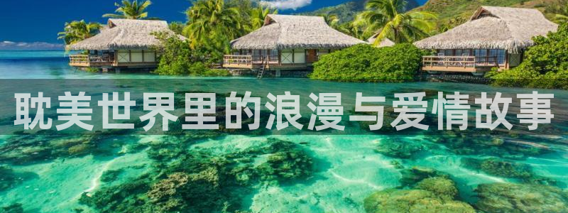 伦理片在线观看麻豆：耽美世界里的浪漫与爱情故事