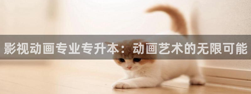 麻豆精品电影网：影视动画专业专升本：动画艺术的无限可能