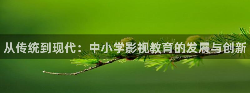 麻豆三级电影：从传统到现代：中小学影视教育的发展与创新
