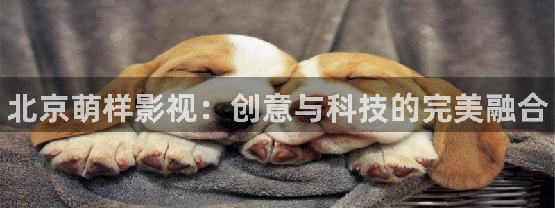 国产麻豆电影播放：北京萌样影视：创意与科技的完美融合