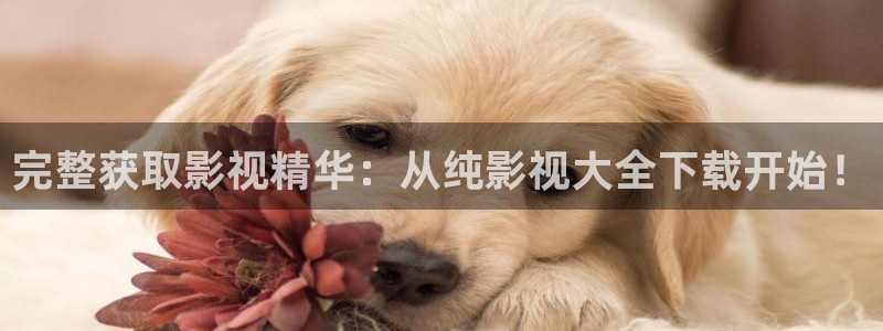 麻豆影视观看