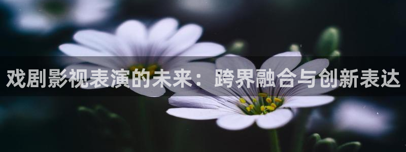麻豆午夜在线电影：戏剧影视表演的未来：跨界融合与创新表达
