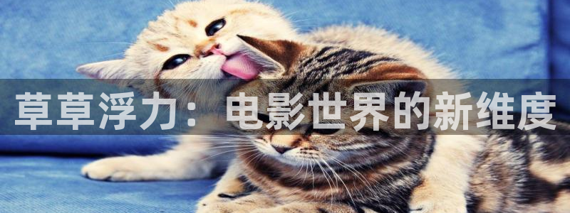 神马麻豆电影