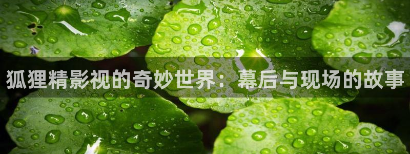 麻豆电影网在线